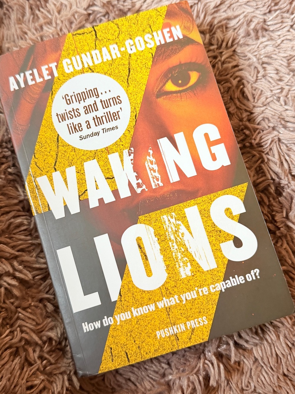 Waking Lions by Ayelet Goshen Psychological Thriller / Suspense book